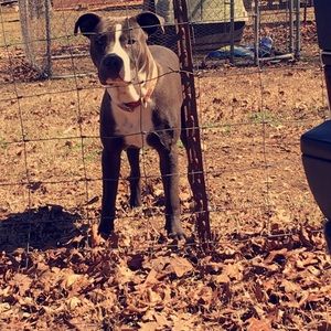 Meet your Posher, Macy